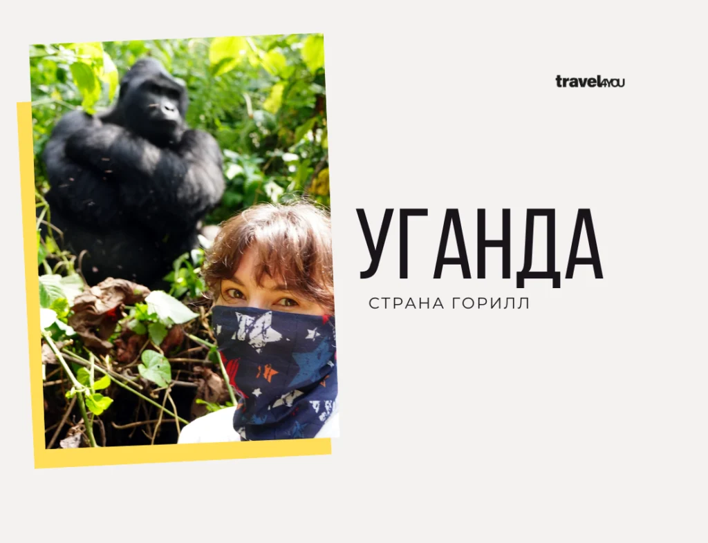 Уганда — страна горилл туры в уганду
