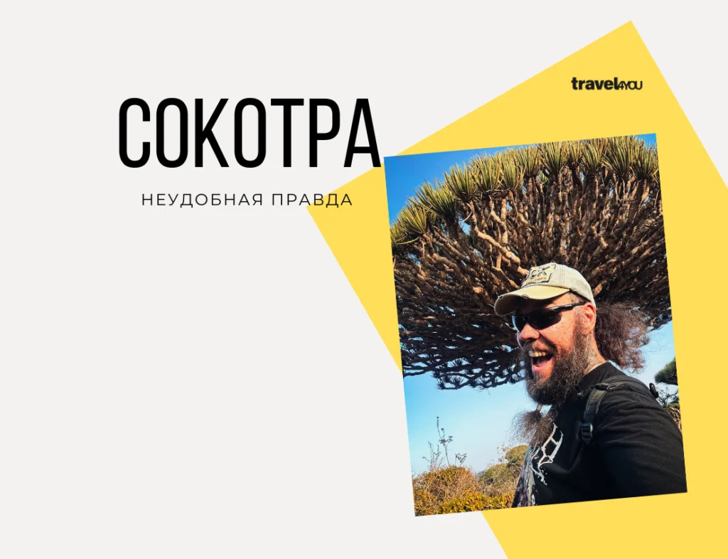 Сокотра неудобная правда сокотра туры