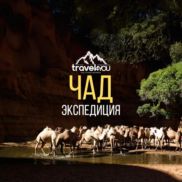 выбор тура