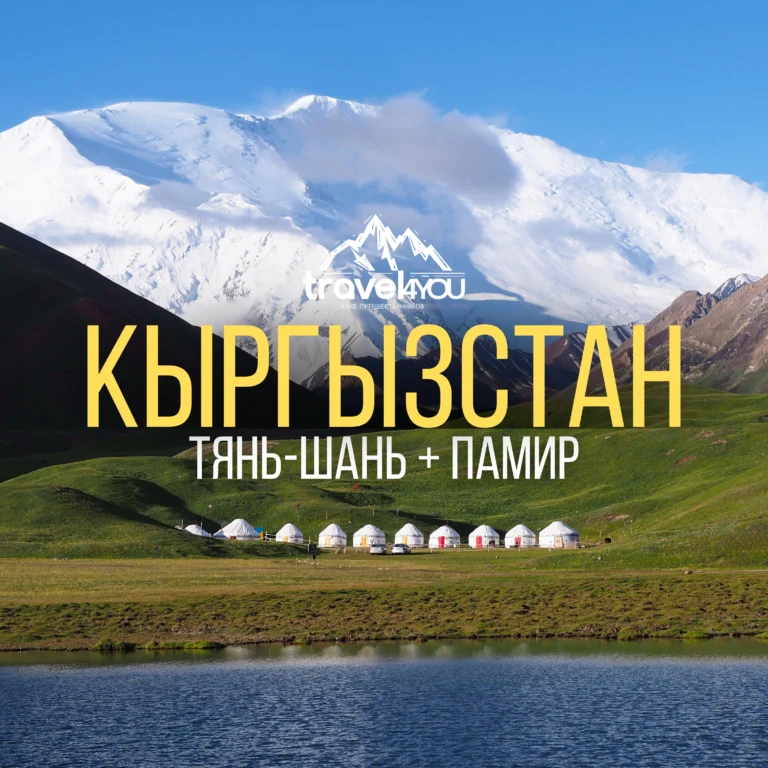 выбор тура