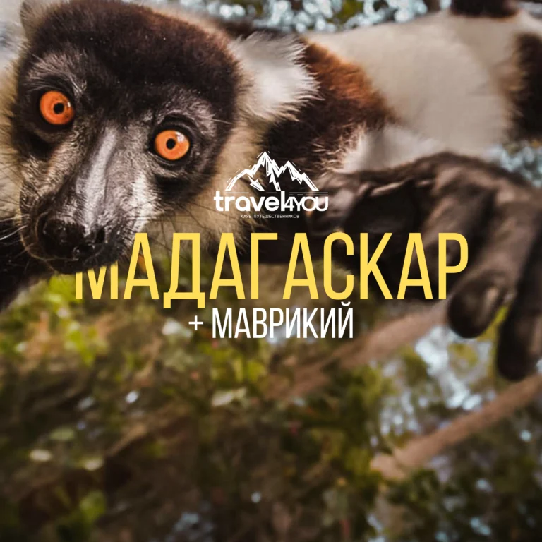 подбор тура