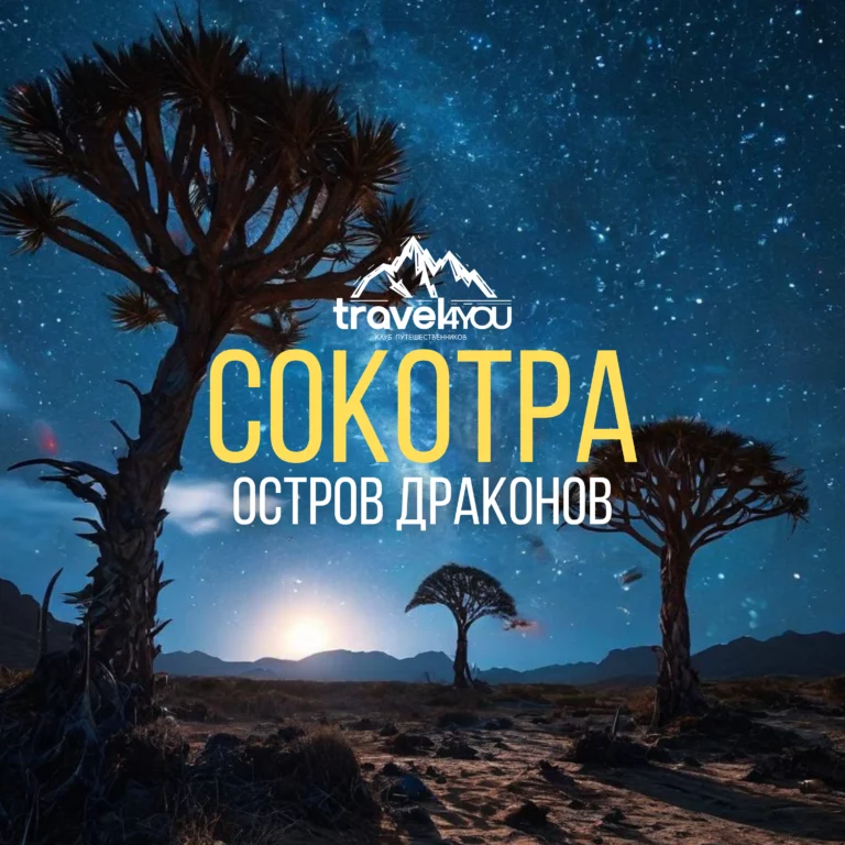 подбор тура