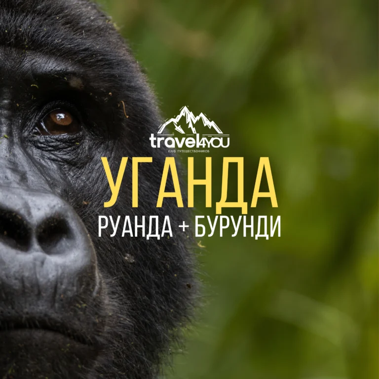 каталог туров
