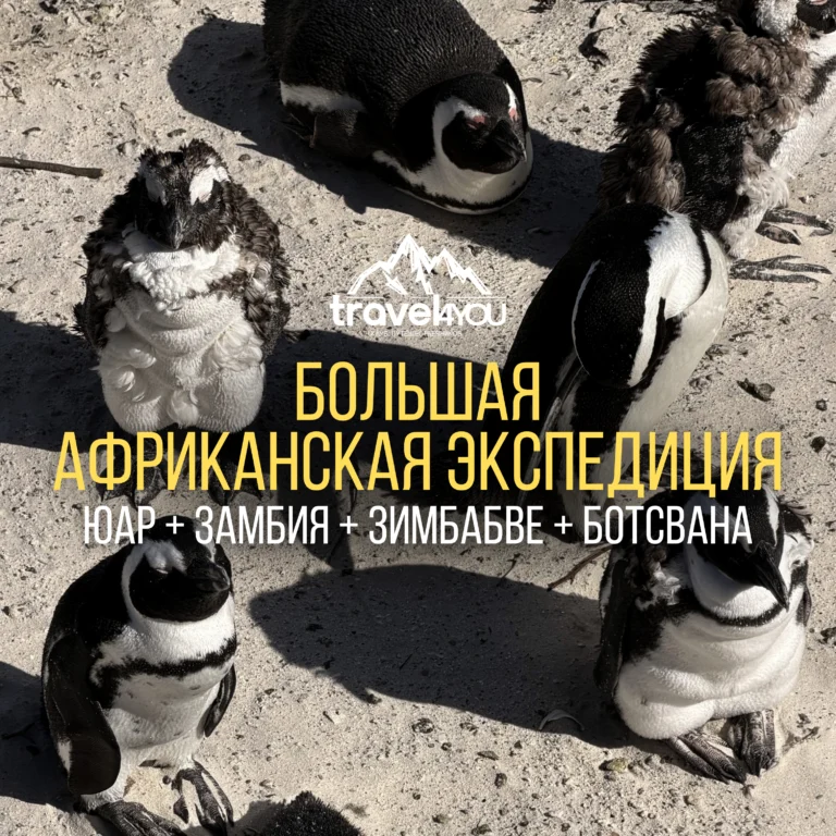 выбор туров онлайн