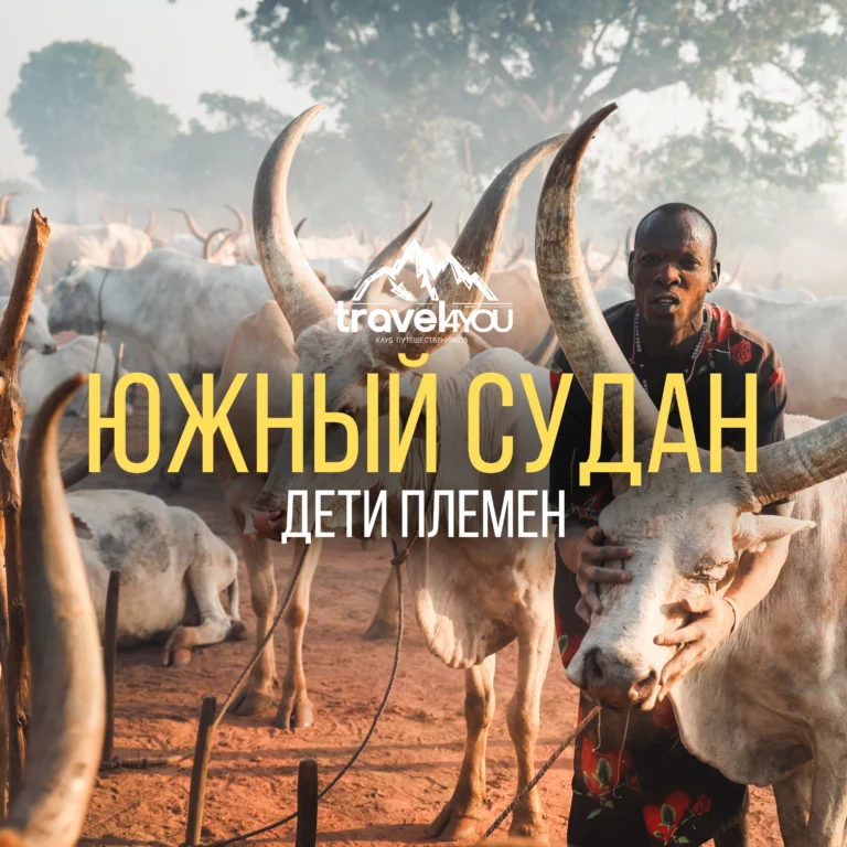 подбор тура онлайн