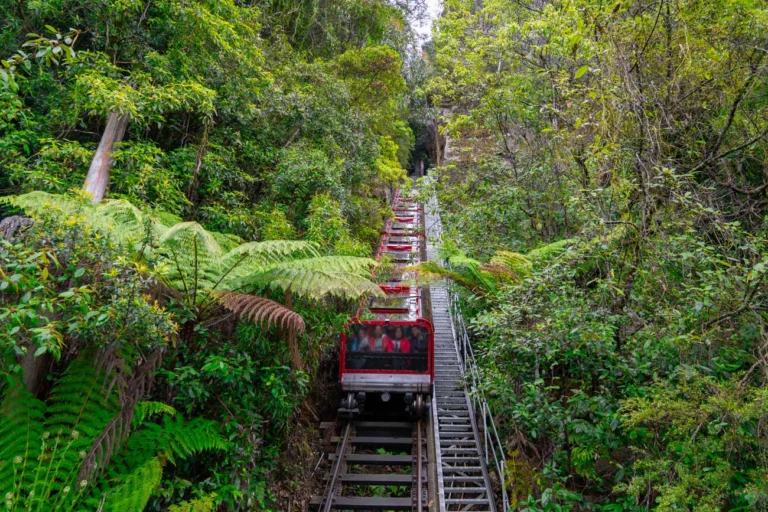 Scenic World Австралия путевка в австралию