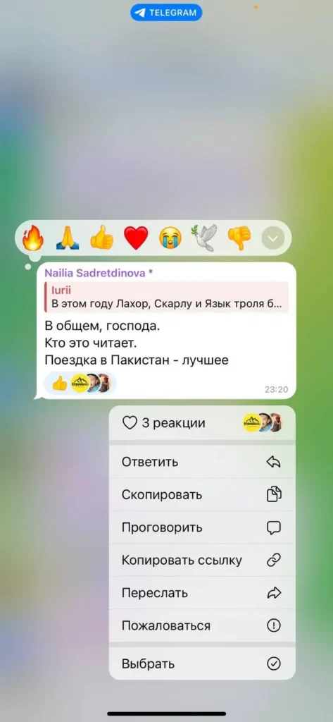 Пакистан отзыв 4